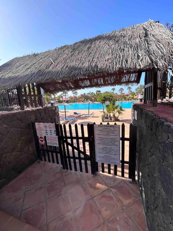 Sun & Sea Apartment In 科拉雷侯 外观 照片